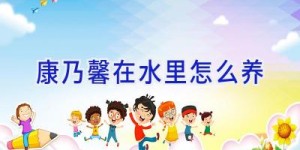 康乃馨在水里怎么养