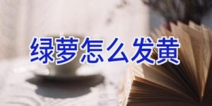绿萝怎么发黄