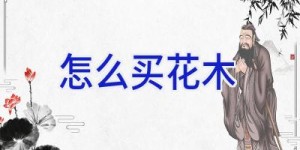 怎么买花木