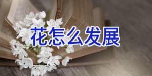 花怎么发展