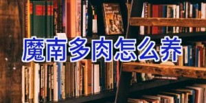 魔南多肉怎么养