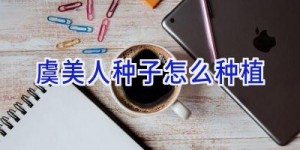 虞美人种子怎么种植