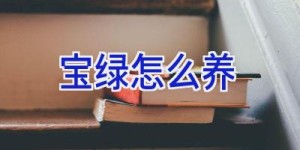 宝绿怎么养