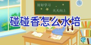 碰碰香怎么水培