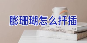 膨珊瑚怎么扦插