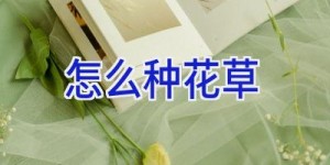怎么种花草