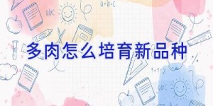 多肉怎么培育新品种