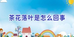 茶花落叶是怎么回事