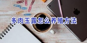 多肉玉露怎么养殖方法