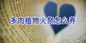 多肉植物火祭怎么养