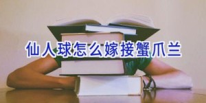 仙人球怎么嫁接蟹爪兰