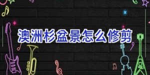 澳洲杉盆景怎么修剪