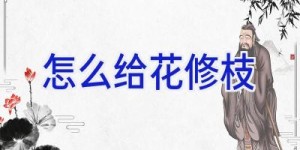 怎么给花修枝
