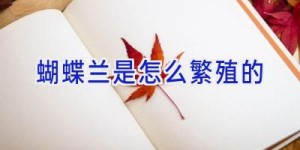 蝴蝶兰是怎么繁殖的