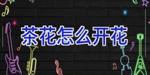 茶花怎么开花