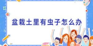 盆栽土里有虫子怎么办