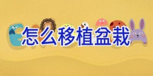 怎么移植盆栽