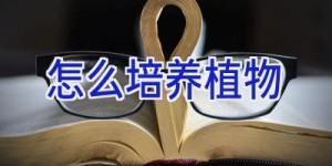 怎么培养植物