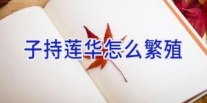 子持莲华怎么繁殖