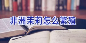 非洲茉莉怎么繁殖