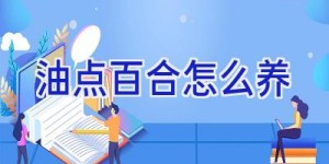 油点百合怎么养