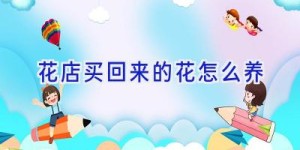 花店买回来的花怎么养