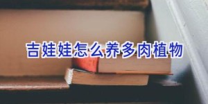 吉娃娃怎么养多肉植物