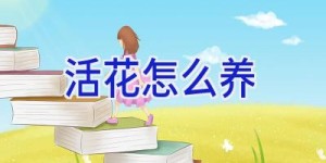 活花怎么养
