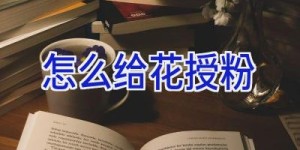 怎么给花授粉
