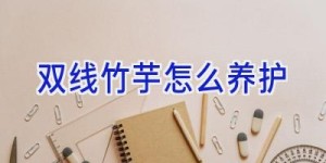 双线竹芋怎么养护