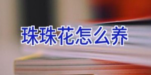 珠珠花怎么养