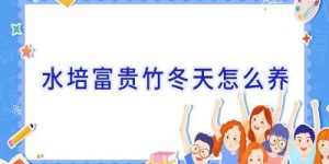 水培富贵竹冬天怎么养