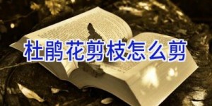 杜鹃花剪枝怎么剪