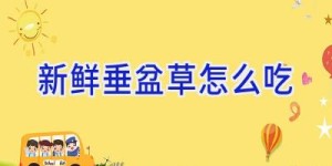 新鲜垂盆草怎么吃