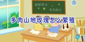 多肉山地玫瑰怎么繁殖