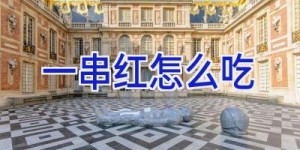 一串红怎么吃