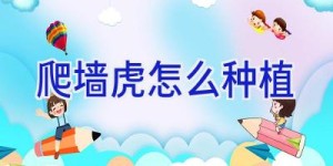 爬墙虎怎么种植