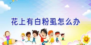 花上有白粉虱怎么办