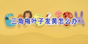 三角梅叶子发黄怎么办