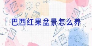 巴西红果盆景怎么养