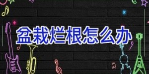 盆栽烂根怎么办