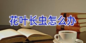 花叶长虫怎么办