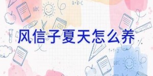 风信子夏天怎么养