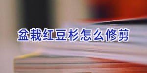 盆栽红豆杉怎么修剪