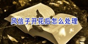 风信子开花后怎么处理