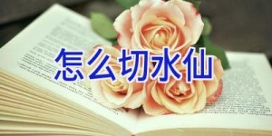 怎么切水仙