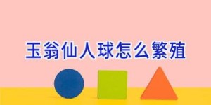 玉翁仙人球怎么繁殖