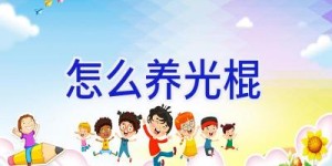 怎么养光棍