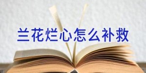 兰花烂心怎么补救