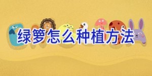 绿箩怎么种植方法
